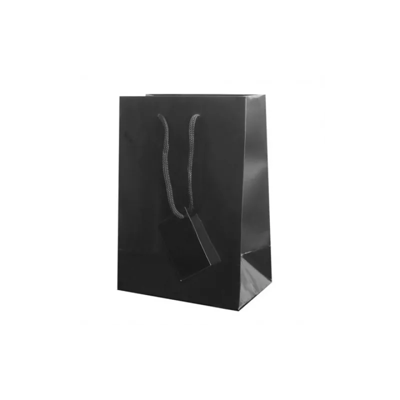 BOLSA REGALO - PAPEL PLASTIFICADO