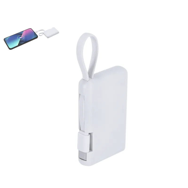 Power Bank Brandin