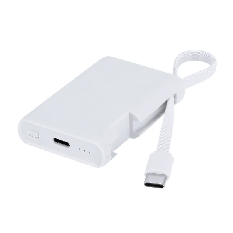 Power Bank Brandin
