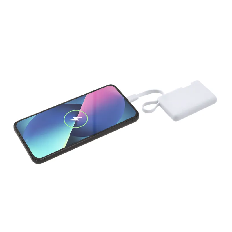 Power Bank Brandin
