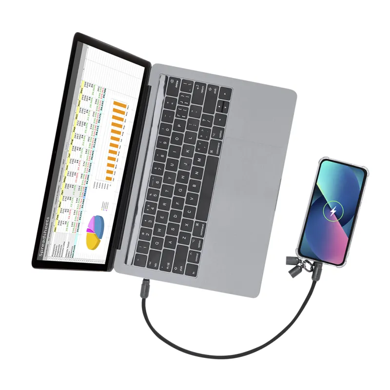 Cable Cargador Soporte Micers