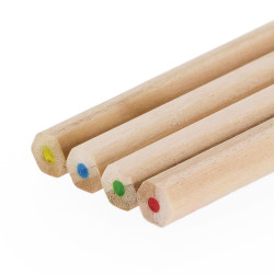 Caja Lápices Siskin