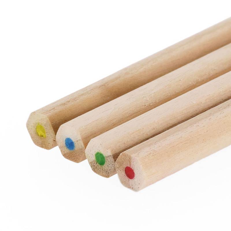 Caja Lápices Siskin