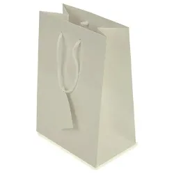 BOLSA REGALO - PAPEL PLASTIFICADO