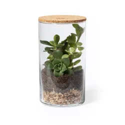 TERRARIUM KIT