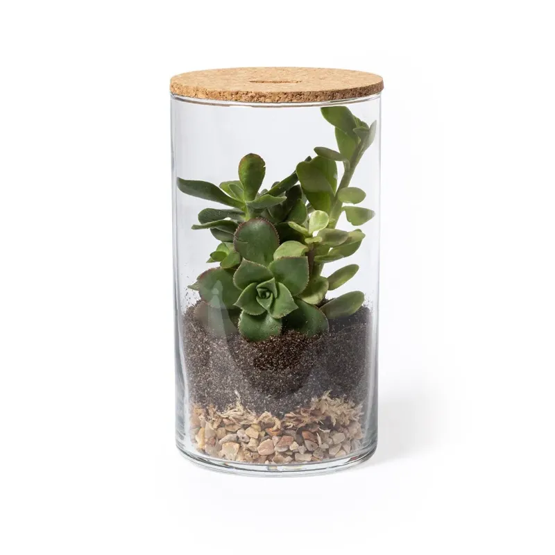 TERRARIUM KIT