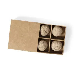 KIT HUERTO CARTON RECICLADO