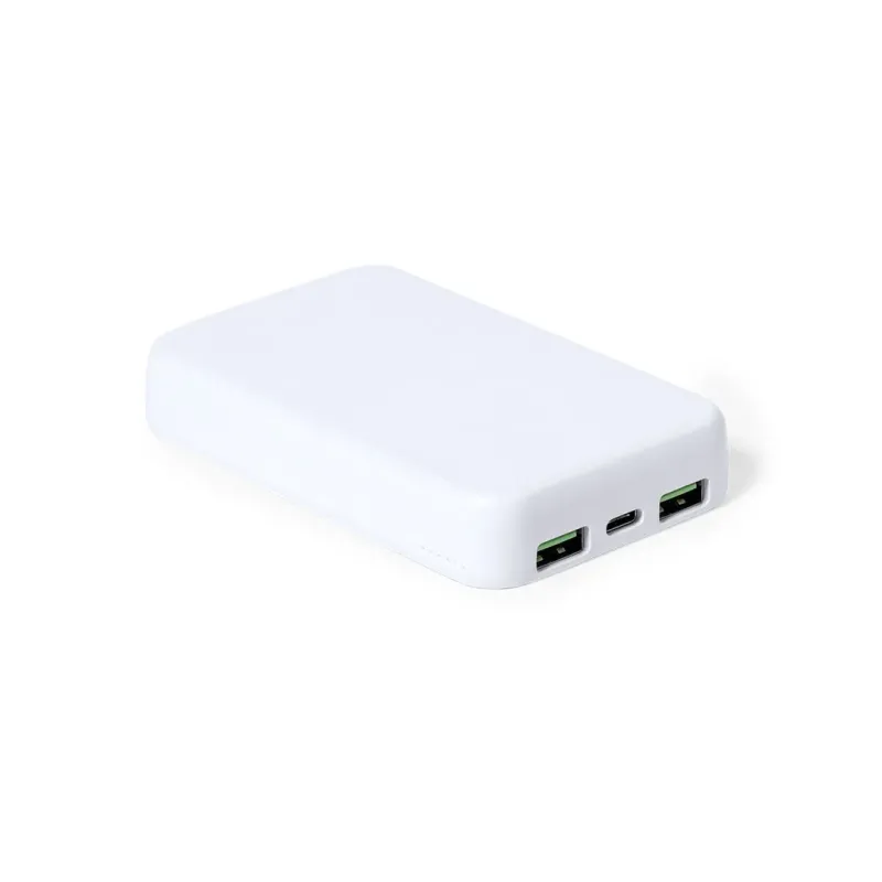 Power bank bramson