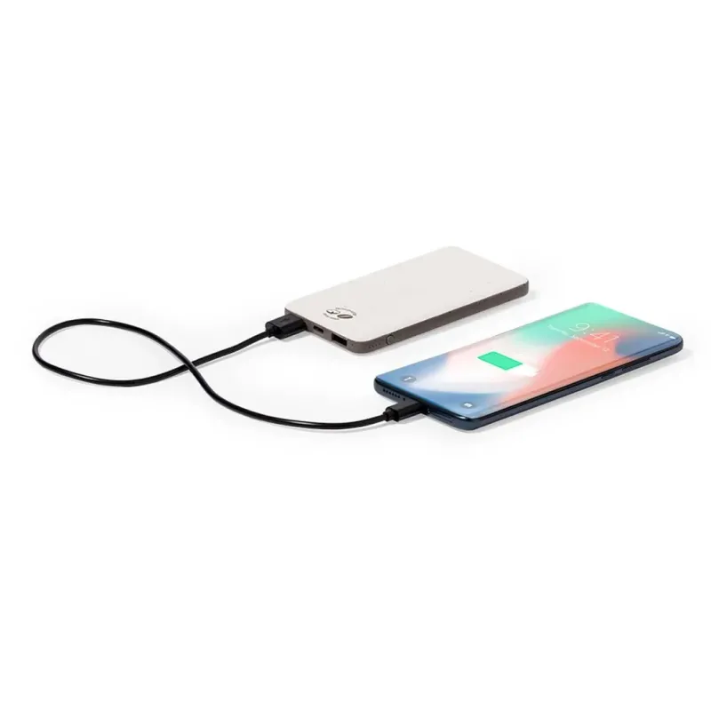 Power bank mayer