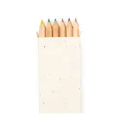 Caja Lápices Semillas Delar