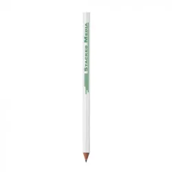 LAPIZ BIC ECO