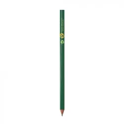 LAPIZ BIC ECO