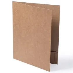 CARPETA CARTON RECICLADO